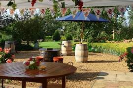 Trip to New Lodge Vineyard