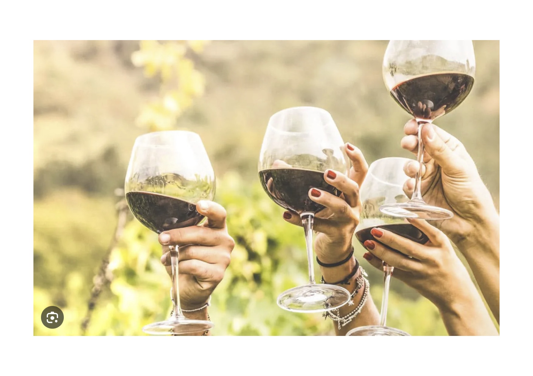 Summer Wine Tasting.